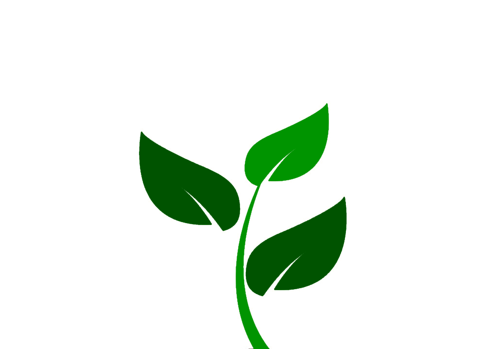 Growing Plant Top
